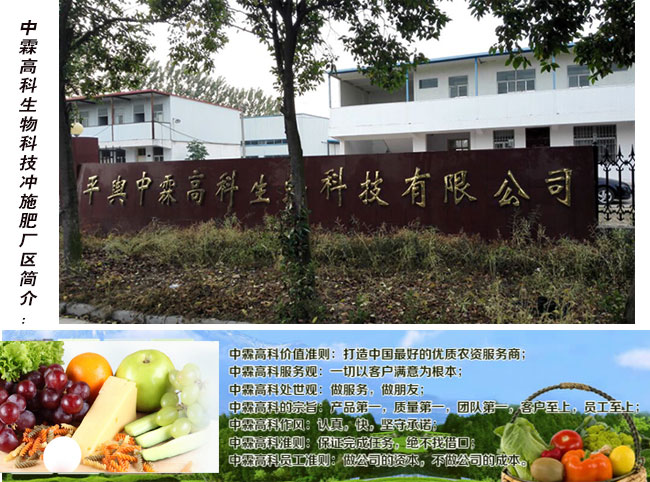 平輿中霖高科生物科技有限公司簡(jiǎn)介